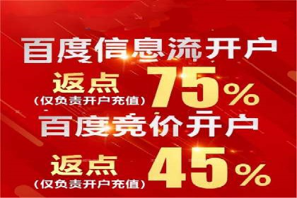 竞价广告案例分析：广告投放成本控制策略
